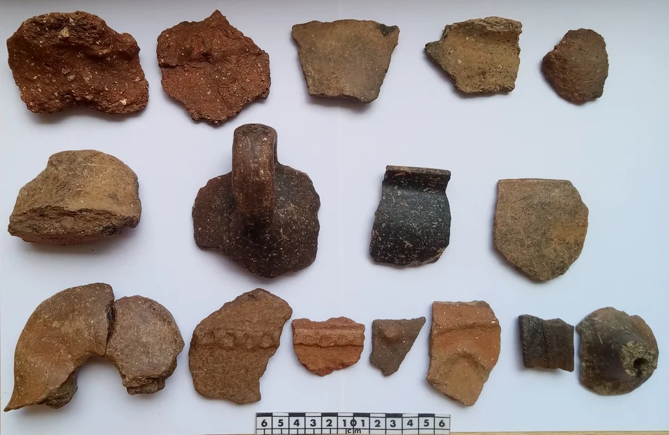 Νεολιθικά και πρωτοελλαδικά όστρακα και θραύσματα αγγείων από την ανασκαφή στη Σχολή Ομήρου στην Ιθάκη, τοποθετημένα σε λευκό φόντο για τεκμηρίωση.