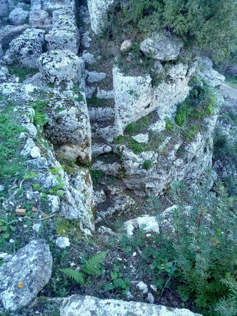 Λαξευτή λίθινη σκάλα στο βράχο στη Σχολή Ομήρου στην Ιθάκη, με βλάστηση και βρύα να καλύπτουν τα αρχαία σκαλοπάτια.