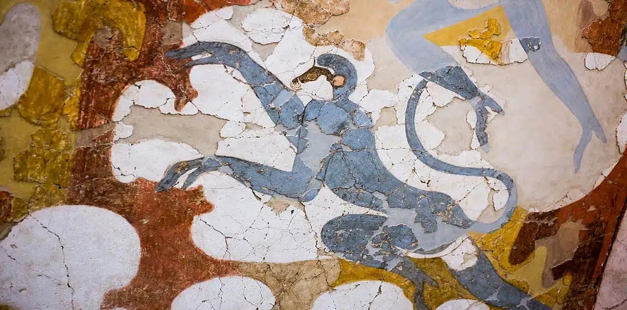 Λεπτομέρεια από τη μινωική τοιχογραφία με μπλε πίθηκο στο Ακρωτήρι Σαντορίνης. Διακρίνεται η χαρακτηριστική καμπυλωτή ουρά που θυμίζει ινδικό λανγκούρ.