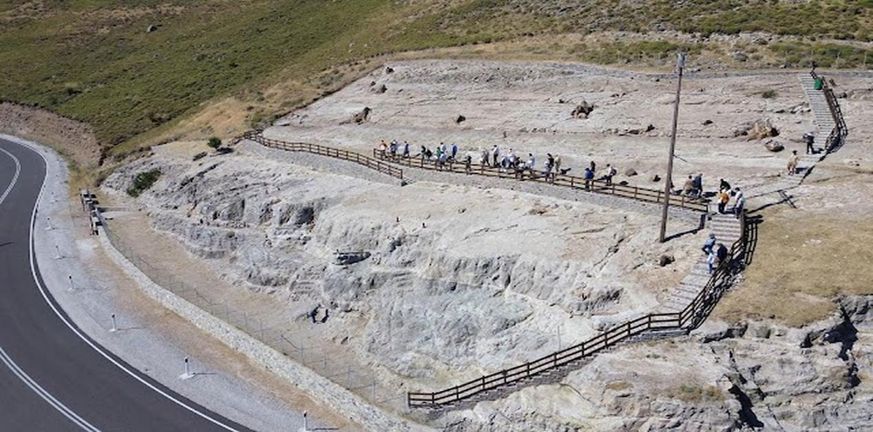 Πεζοπορική διαδρομή σε πάρκο απολιθωμάτων στη Λέσβο, με επισκέπτες να περπατούν κατά μήκος περιφραγμένου μονοπατιού δίπλα στον δρόμο.