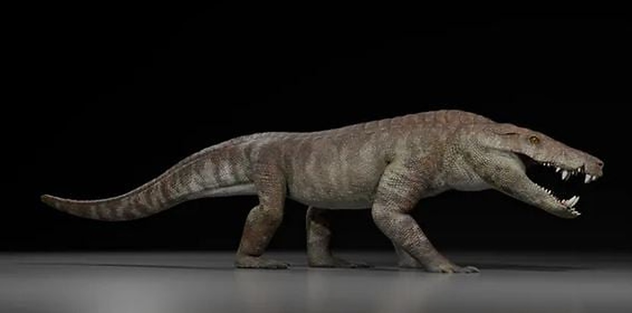 Kostensuchus atrox, ο σαρκοφάγος κροκόδειλος της Παταγονίας που κυνηγούσε δεινόσαυρους.