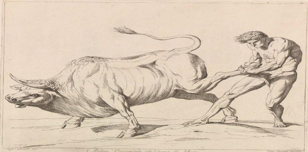 Μίλων ο Κροτωνιάτης προπονείται παλεύοντας με ταύρο, αρχαία ελληνική παράσταση