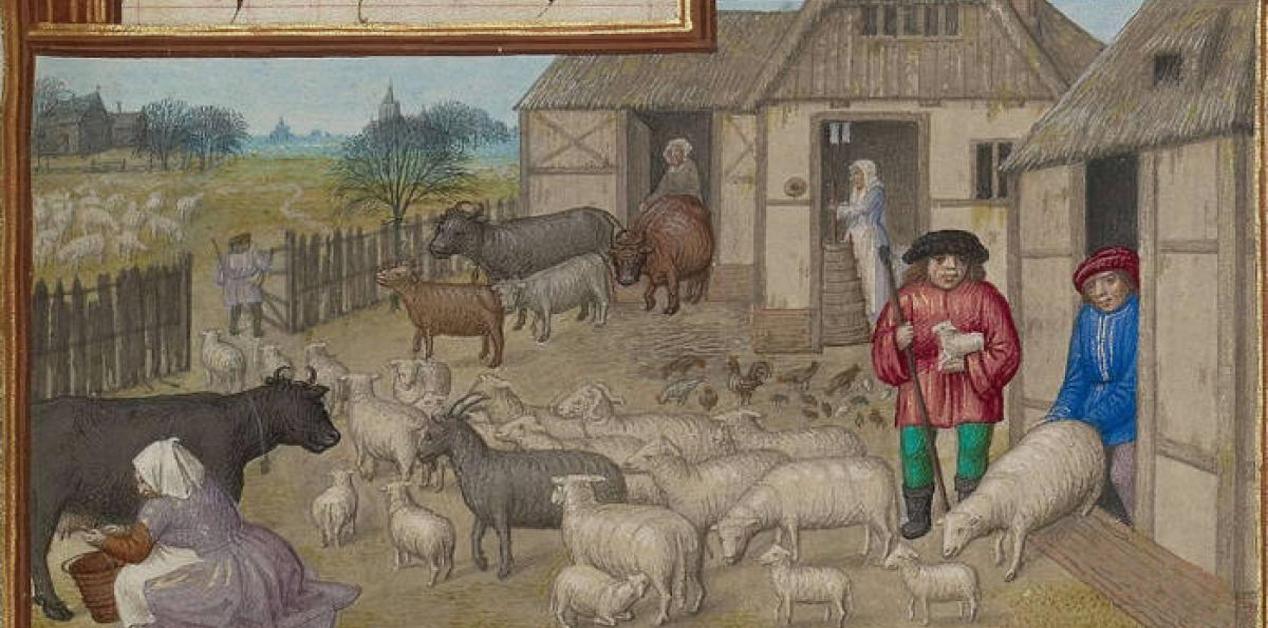 Μεσαιωνική αγροτική σκηνή με αγελάδες, πρόβατα, κατσίκες και κότες σε φάρμα, που δείχνει την εκτροφή ζώων για μεγαλύτερη παραγωγικότητα.