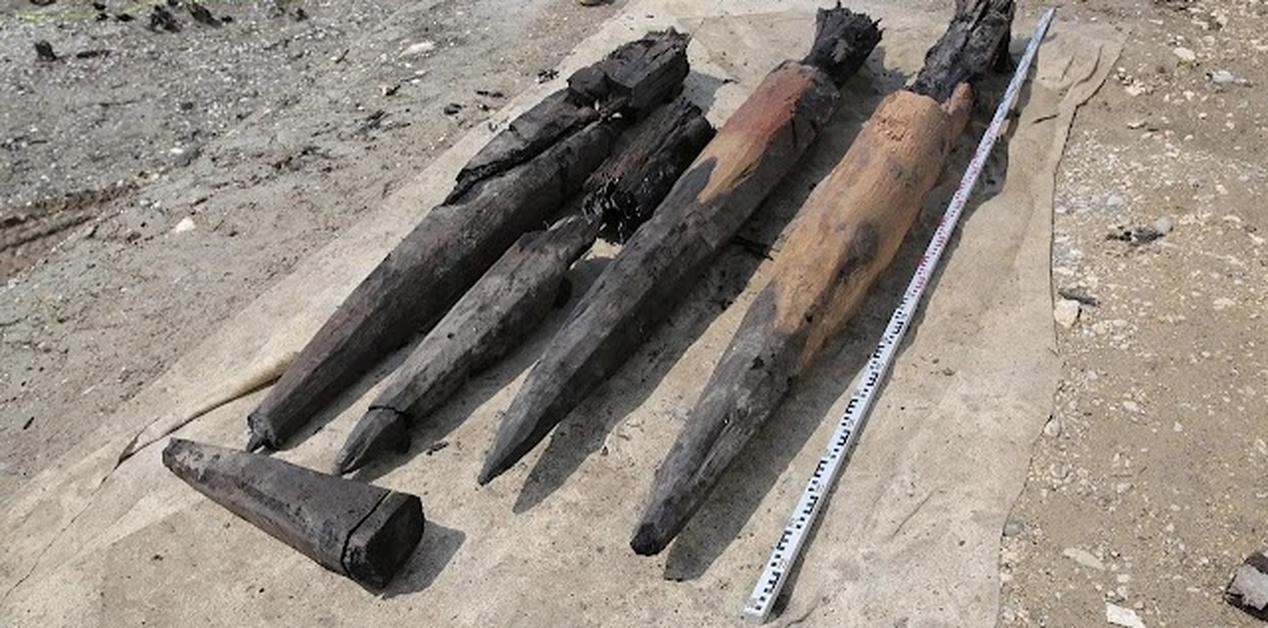Ξύλινοι δρύινοι πάσσαλοι από τη ρωμαϊκή γέφυρα στο Aegerten Βέρνης