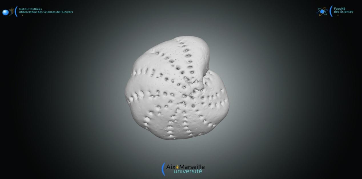 3D προσομοίωση μικροσκοπικού απολιθώματος τρηματοφόρου