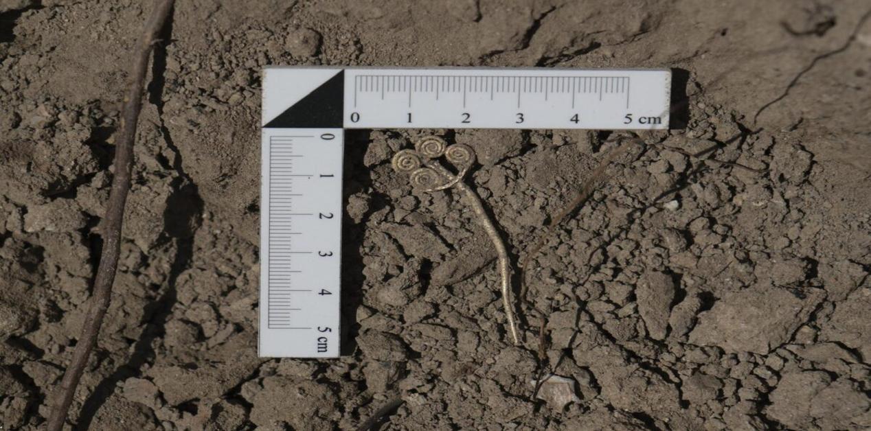Χρυσή πόρπη 4.500 ετών από την Τροία, ανακάλυψη στην Πρώιμη Εποχή του Χαλκού.