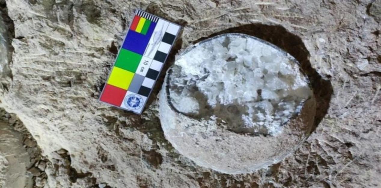 Απολιθωμένο αυγό δεινοσαύρου γεμάτο κρυστάλλους ασβεστίτη με μέτρο χρωμάτων 10 εκ. για κλιμάκωση.