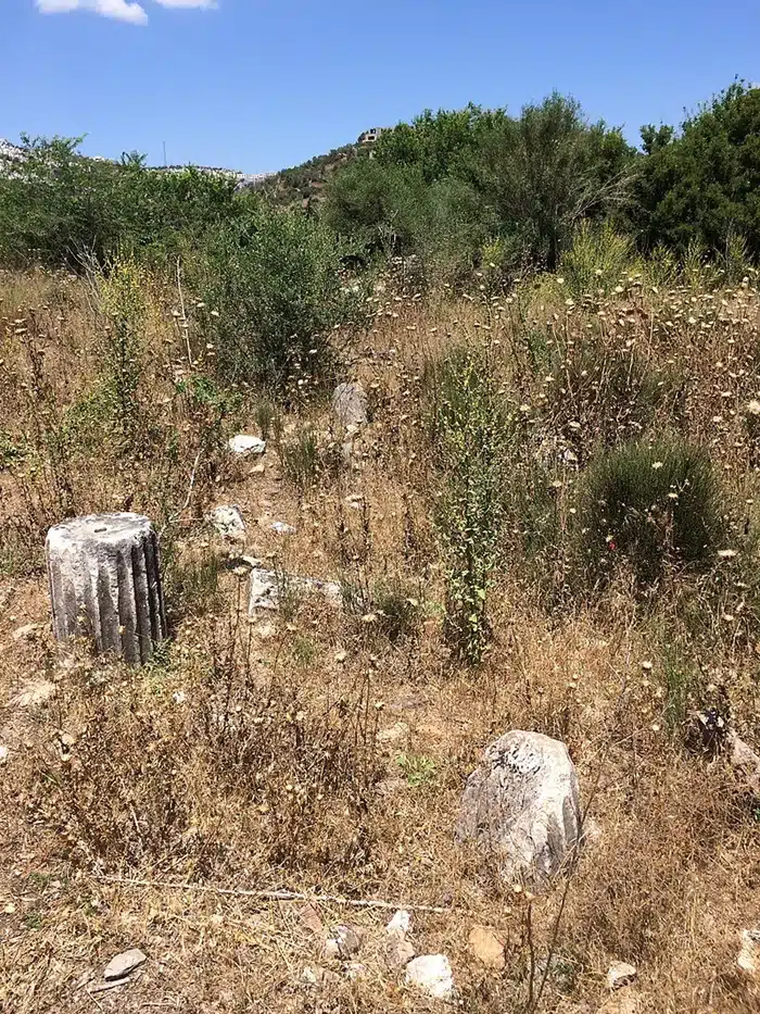 Ένα σπασμένο τμήμα ραβδωτού κίονα βρίσκεται στο έδαφος, σε ένα ηλιόλουστο χωράφι καλυμμένο με ψηλά ξερά χόρτα και θάμνους, αποκαλύπτοντας την έλλειψη ανασκαφών.