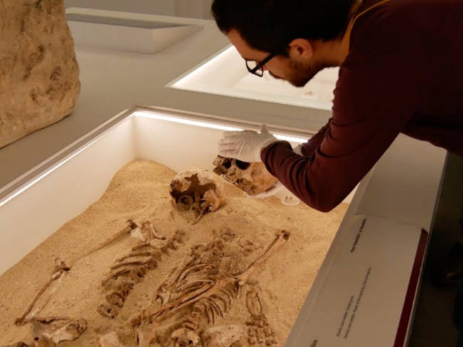 Ένας αρχαιολόγος με γάντια εξετάζει έναν αρχαίο ανθρώπινο σκελετό σε μια μουσειακή προθήκη με άμμο.