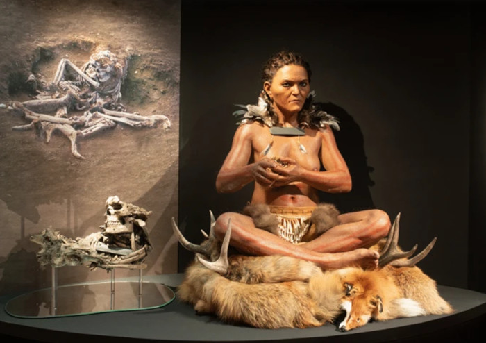Μουσειακή αναπαράσταση μιας γυναίκας σαμάνου της Μεσολιθικής περιόδου, καθισμένης σε δέρματα αλεπούς και κέρατα ελαφιού, δίπλα σε φωτογραφία του αρχαιολογικού ευρήματος της ταφής της.