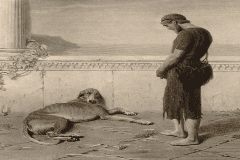 Ασπρόμαυρη καλλιτεχνική απεικόνιση της συνάντησης του Οδυσσέα με τον πιστό του σκύλο, Άργο. Ο Οδυσσέας, ντυμένος με κουρέλια ζητιάνου, στέκεται σκυφτός μπροστά στον γηραιό και αδύναμο σκύλο που είναι ξαπλωμένος στο δάπεδο, σε ένα περιβάλλον με αρχαιοελληνικούς κίονες και θέα τη θάλασσα.