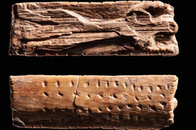 Παλαιολιθικό αντικείμενο από ελεφαντόδοντο με γεωμετρικές χαράξεις και επαναλαμβανόμενα σύμβολα, ηλικίας περίπου 40.000 ετών, από τη Σουαβική Ιούρα Γερμανίας.