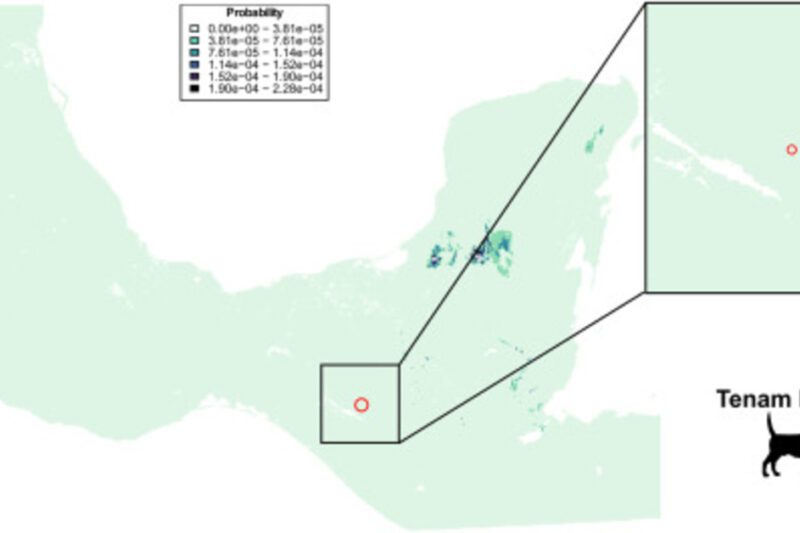Χάρτης πιθανοτήτων της περιοχής των Μάγια στο Μεξικό, με έμφαση στην τοποθεσία Tenam Puente και ένα εικονίδιο σκύλου.