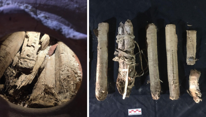 Τυλιγμένοι αρχαίοι πάπυροι μέσα σε κεραμικό αγγείο και απλωμένοι δίπλα-δίπλα για εξέταση.