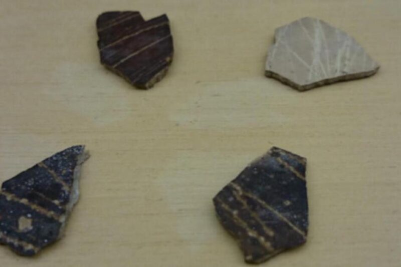 Κοντινή λήψη τεσσάρων προϊστορικών θραυσμάτων από κελύφη αυγών στρουθοκαμήλου με χαραγμένα γεωμετρικά μοτίβα παράλληλων γραμμών, τοποθετημένα σε ανοιχτόχρωμη ξύλινη επιφάνεια.