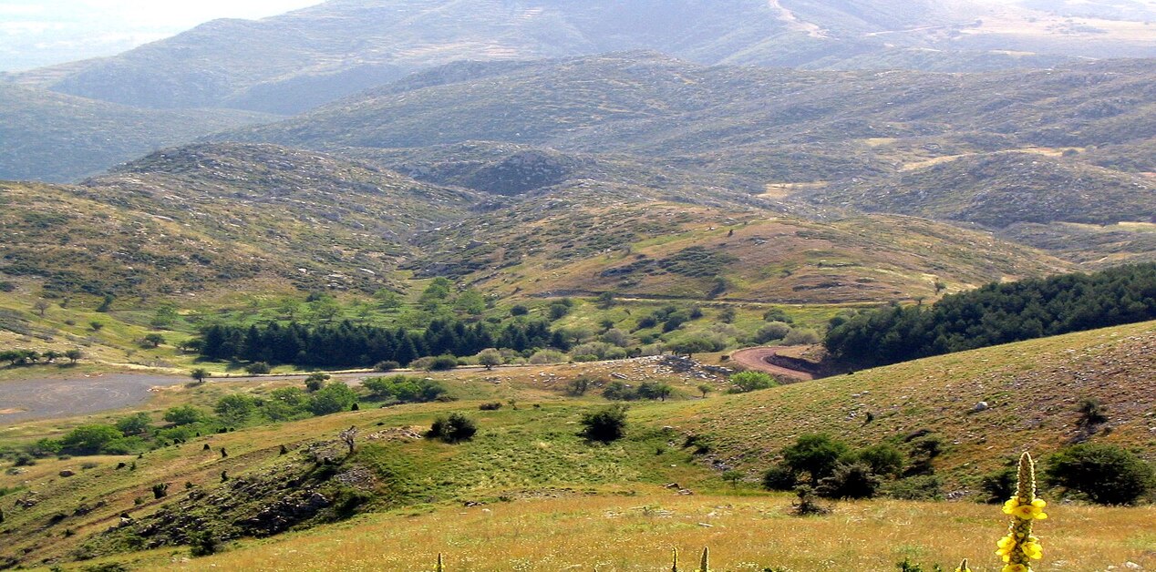 Πανοραμική φωτογραφία του Λυκαίου Όρους στην Αρκαδία, που δείχνει το λοφώδες, βραχώδες τοπίο με χαμηλή βλάστηση και μερικές συστάδες δέντρων.